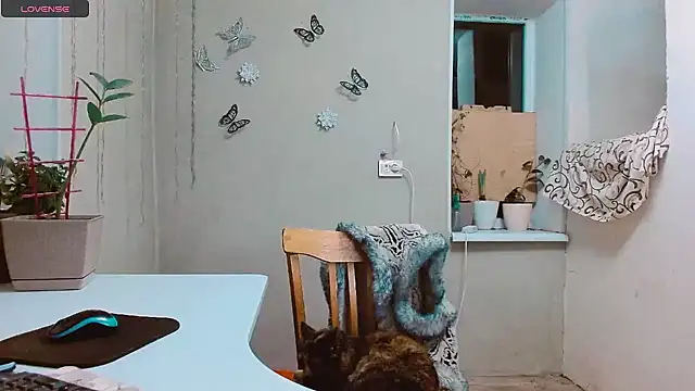 Snapshot of RosaJil chatting on 01-28-25, 04:08 RosaJil online show from 01-28-25, 04:08