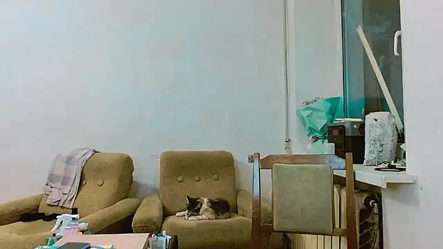 Snapshot of RosaJil chatting on 02-28-25, 01:25 RosaJil online show from 02-28-25, 01:25