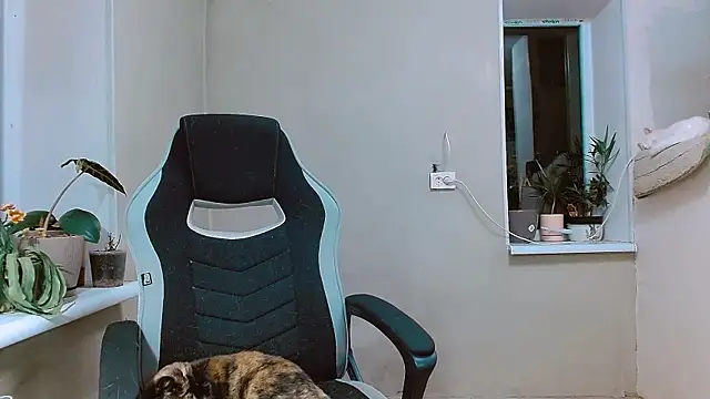 Snapshot of RosaJil chatting on 11-01-25, 03:58 RosaJil online show from 11-01-25, 03:58