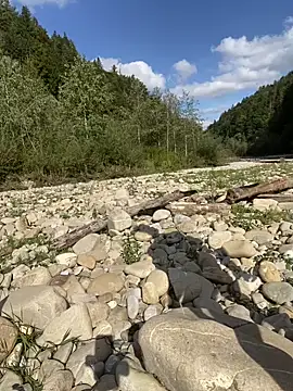 artXhibitor online show from 09-29-25, 01:16