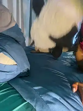 YellowHoneyDip online show from 01-28-25, 04:39