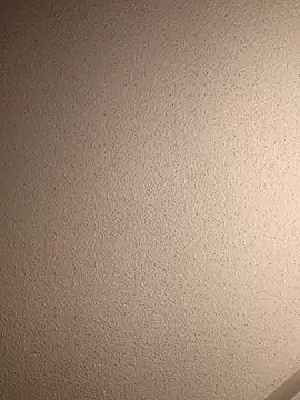 Treemandude online show from 09-13-25, 06:02