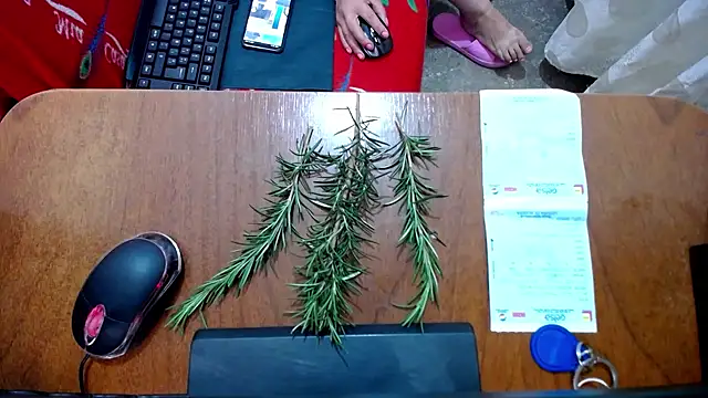 Malaya88 online show from 02-16-25, 04:42