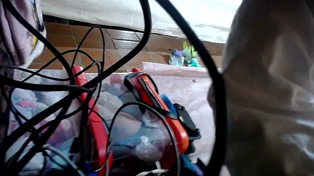 Malaya88 online show from 03-23-26, 02:48