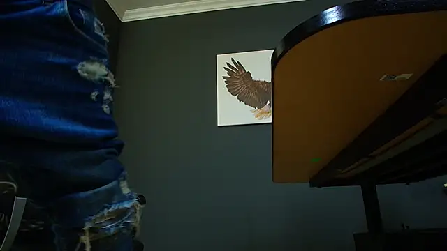 Snapshot of JoshKnights chatting on 03-15-25, 12:45 JoshKnights online show from 03-15-25, 12:45