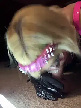 Snapshot of whoremeout chatting on 03-13-26, 07:59 whoremeout online show from 03-13-26, 07:59