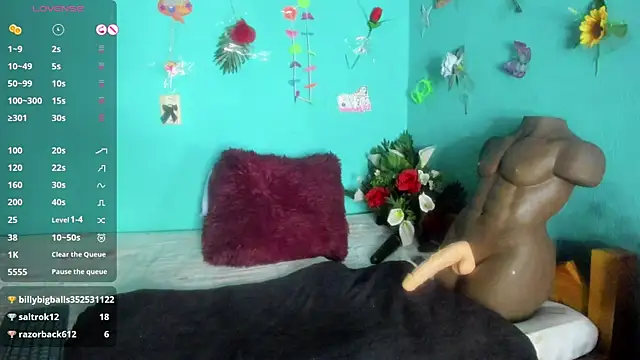 SheraHadee online show from 04-01-26, 01:41