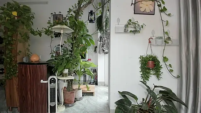 Oliver Nl online show from 03-03-26, 04:07