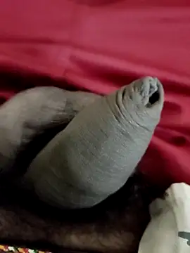 Snapshot of Ashish02345 chatting on 01-24-25, 08:22 Ashish02345 online show from 01-24-25, 08:22