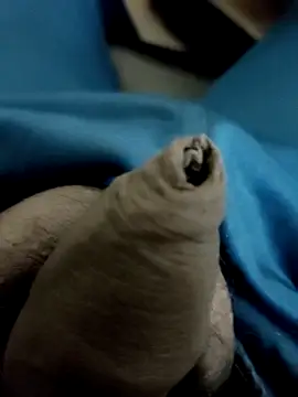 Snapshot of Ashish02345 chatting on 01-28-25, 08:58 Ashish02345 online show from 01-28-25, 08:58