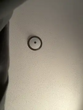 ebonyred online show from 12-21-25, 02:24