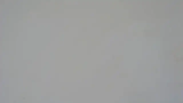 Snapshot of GiseleReine chatting on 02-05-25, 01:33 GiseleReine online show from 02-05-25, 01:33