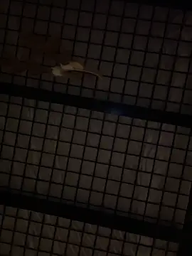 SexyB214 online show from 12-14-24, 12:44