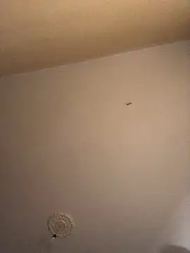 ClatteryPrexy online show from 12-16-24, 04:27