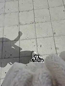 SexyErola27 online show from 04-10-26, 09:58