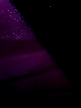 egyptman220 online show from 03-12-26, 11:22