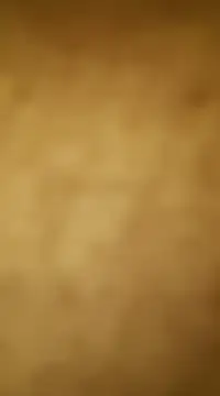 vinzpnr210 online show from 01-15-25, 11:10