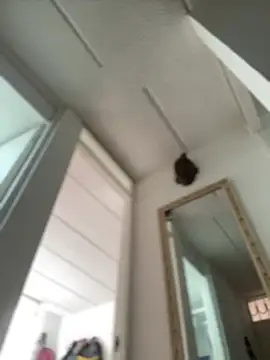 Mila Morgan online show from 02-27-25, 02:43