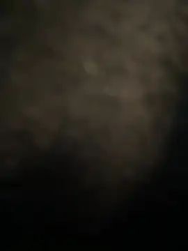 Mila Morgan online show from 03-02-25, 10:05