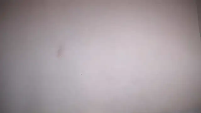 Snapshot of Osiiriis chatting on 02-12-25, 01:06 Osiiriis online show from 02-12-25, 01:06