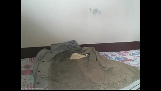 Snapshot of triangle0623 chatting on 12-20-25, 05:47 triangle0623 online show from 12-20-25, 05:47