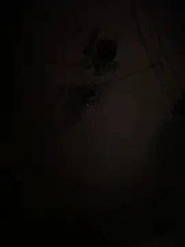 Snapshot of EnricoGio chatting on 01-15-26, 01:21 EnricoGio online show from 01-15-26, 01:21