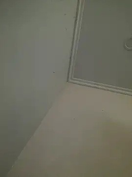 CieloTaylor online show from 02-25-26, 10:25