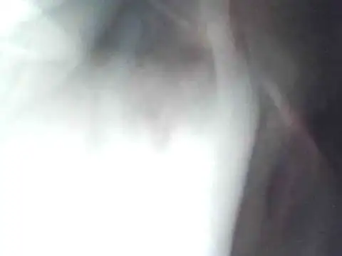 technodotado online show from 04-23-26, 02:13