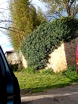 BZHsex online show from 03-10-25, 03:52