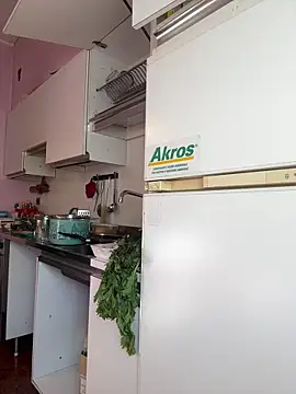 Sunbelxx online show from 11-04-25, 08:46