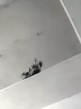 Mafiya1604 online show from 10-22-25, 05:30