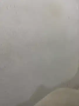 Snapshot of bento_silva chatting on 02-15-26, 04:09 bento silva online show from 02-15-26, 04:09