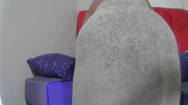 assqueenxx online show from 12-02-25, 04:18