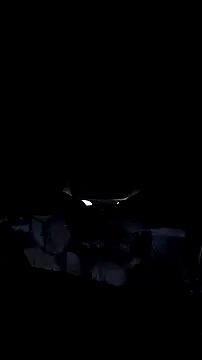 AriellaTaylor online show from 12-14-25, 12:32