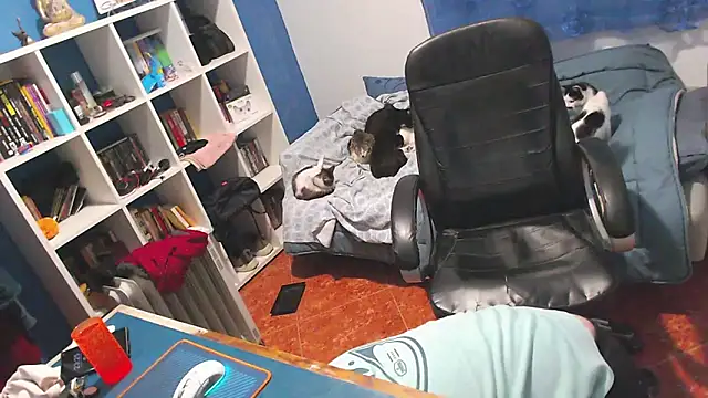 ravingr4d4 online show from 02-02-26, 11:25