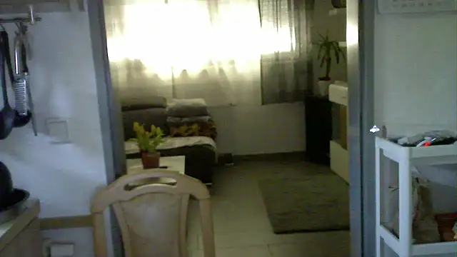 Snapshot of pimmelmann3 chatting on 04-23-26, 10:36 pimmelmann3 online show from 04-23-26, 10:36
