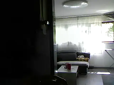 Snapshot of pimmelmann3 chatting on 05-22-26, 11:16 pimmelmann3 online show from 05-22-26, 11:16