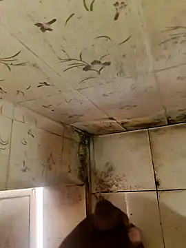 indiasexmf online show from 10-11-25, 04:33