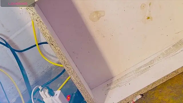 anotherbigboy  online show from 04-28-26, 09:03