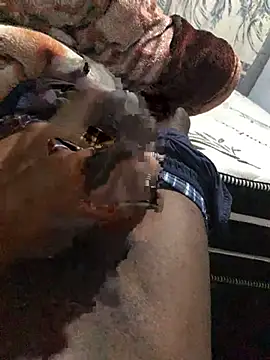 Evonichi online show from 03-26-26, 05:40