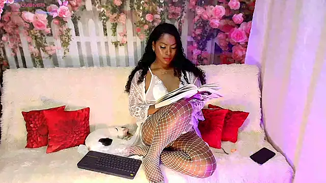 PaoL22 online show from 02-20-26, 06:26