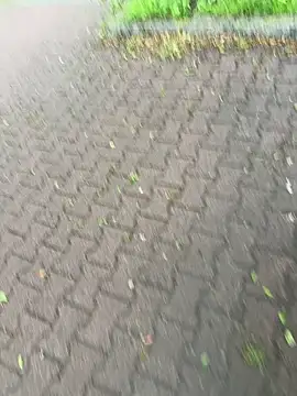 Snapshot of _xPani_x2 chatting on 06-01-26, 06:15 xPani x2 online show from 06-01-26, 06:15