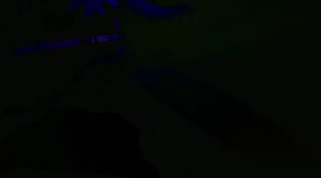 watermellonpussy online show from 01-29-25, 03:54