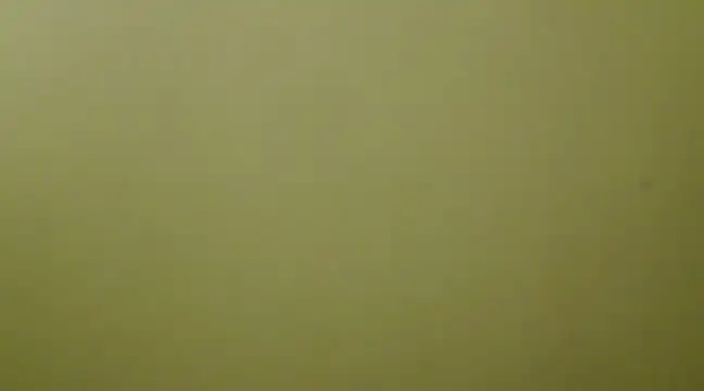  Blue Ruubyy  online show from 02-01-25, 12:37