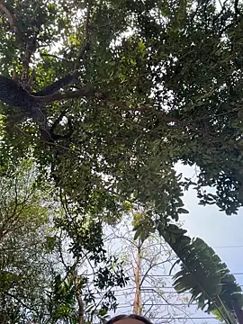 JessiMur online show from 02-11-26, 03:44