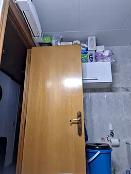 Javier bear online show from 02-12-26, 02:01