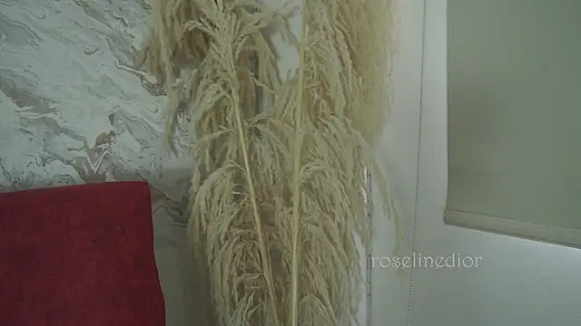 roselinedior online show from 12-01-25, 01:38