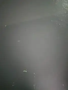 kamasutra20 online show from 12-19-25, 01:01