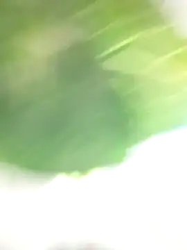 Wanda and cosmo  online show from 03-07-25, 08:55