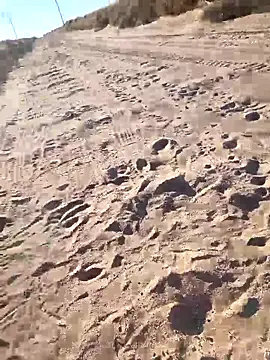 prettyboi6992 online show from 03-01-26, 11:51